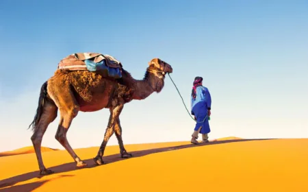 how a marrakech circuit reveals the hidden wonders of moroccan culture