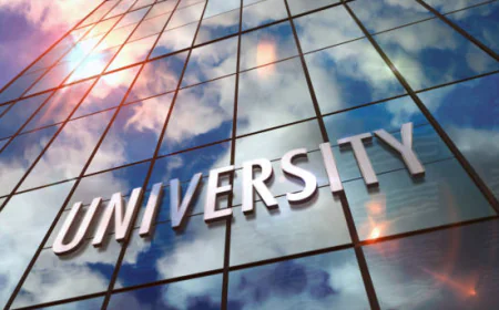 What University Tech Transfer Offices Need to Know About Venture-Backed Spinouts