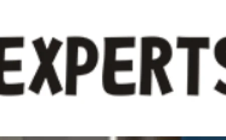 WordPress SEO Company: How Professional Optimization Helps Websites