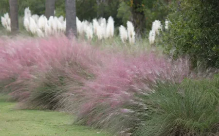 Common Lawn Pests in Charleston and How to Manage Them Naturally