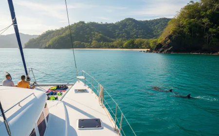 How Can You Experience the Best Catamaran Tours in Costa Rica