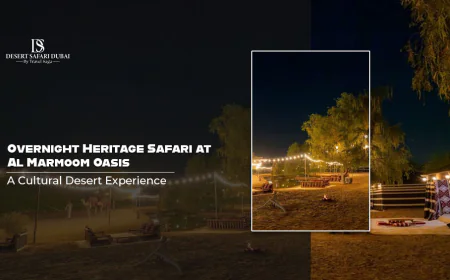 Overnight Heritage Safari at Al Marmoom Oasis: A Cultural Desert Experience