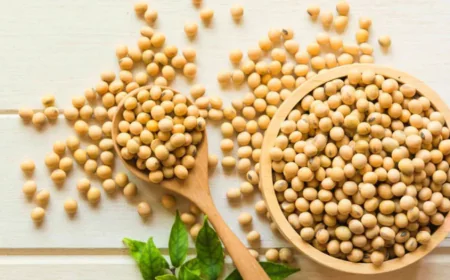 Top Soyabeans Dealers in India for Bulk Supply
