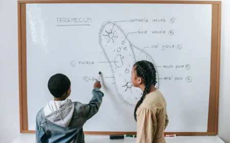 Exam Tutors: How Expert Guidance Helps Students Achieve Higher Scores
