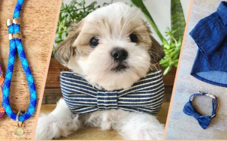 The Ultimate Guide to High-Quality Dog Accessories for Every Breed