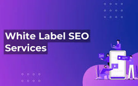How to Choose the Right SEO Reseller Partner in Australia