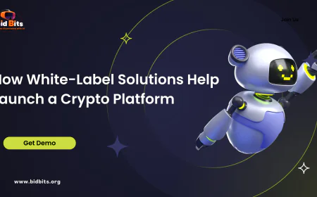 How White-Label Solutions Help Launch a Crypto Platform