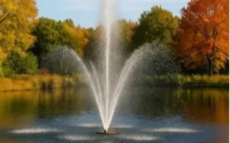 Pond Fountains Floating on Your Water Feature: A Complete Owner's Guide