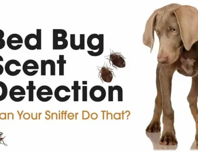 Dog Bed Bug Detection Cleveland – Fast & Reliable Service