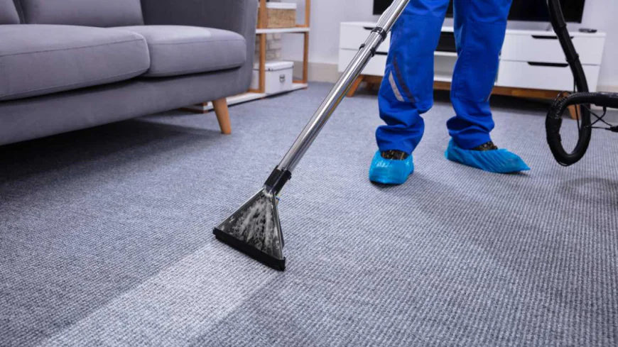 How Much Does Carpet Cleaning Manchester Cost