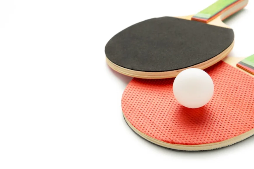 Which Table Tennis Racket Rubber Suits You Best
