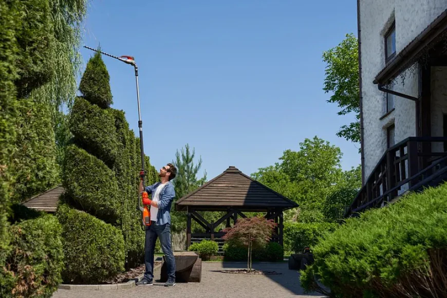 Landscaping and Fencing Near Me for Modern Outdoor Living