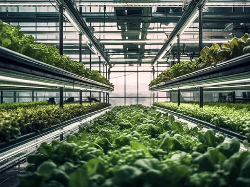 Optimizing Growth: How a CO2 System for Plants Enhances Photosynthesis