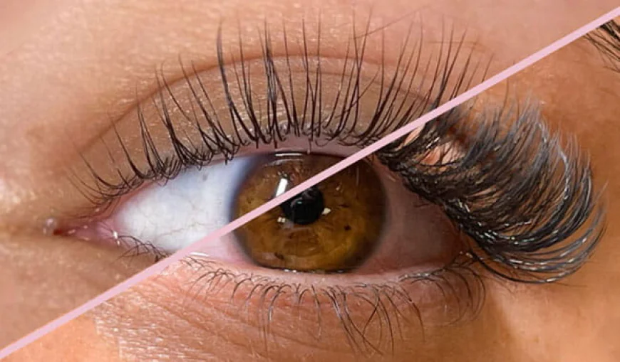 Lash Lift or Lash Extensions: What Should You Offer or Choose?