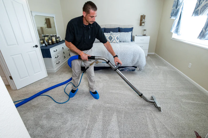 Carpet Stain Removal Services Same Day Booking