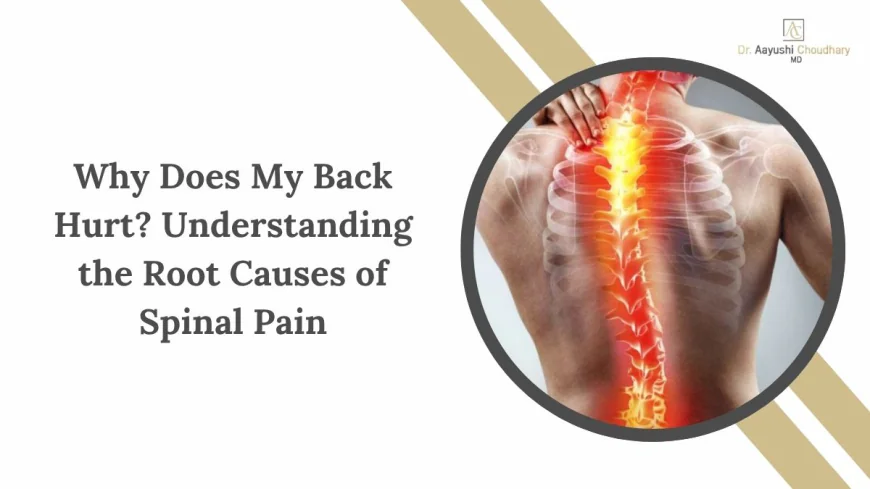 Why Does My Back Hurt? Understanding the Root Causes of Spinal Pain