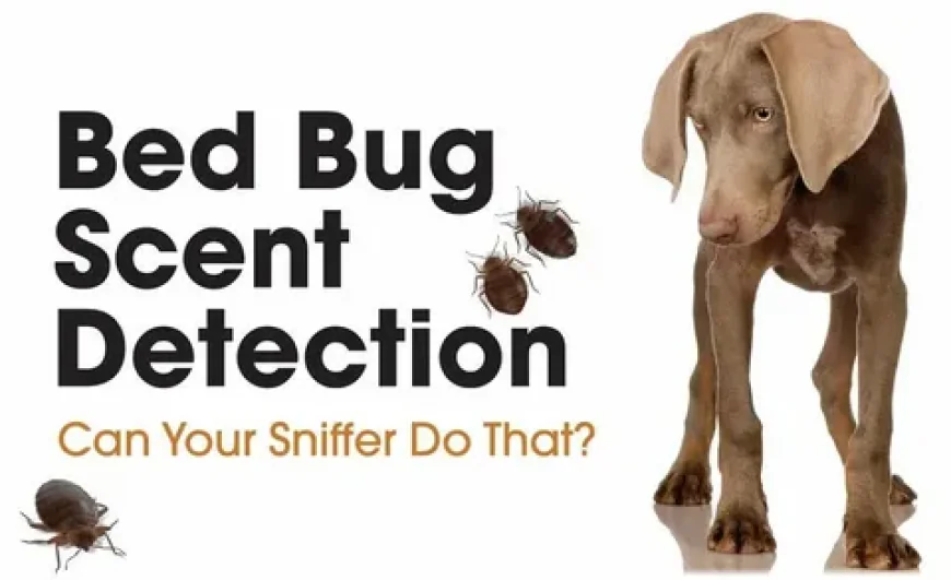 Dog Bed Bug Detection Cleveland – Fast & Reliable Service