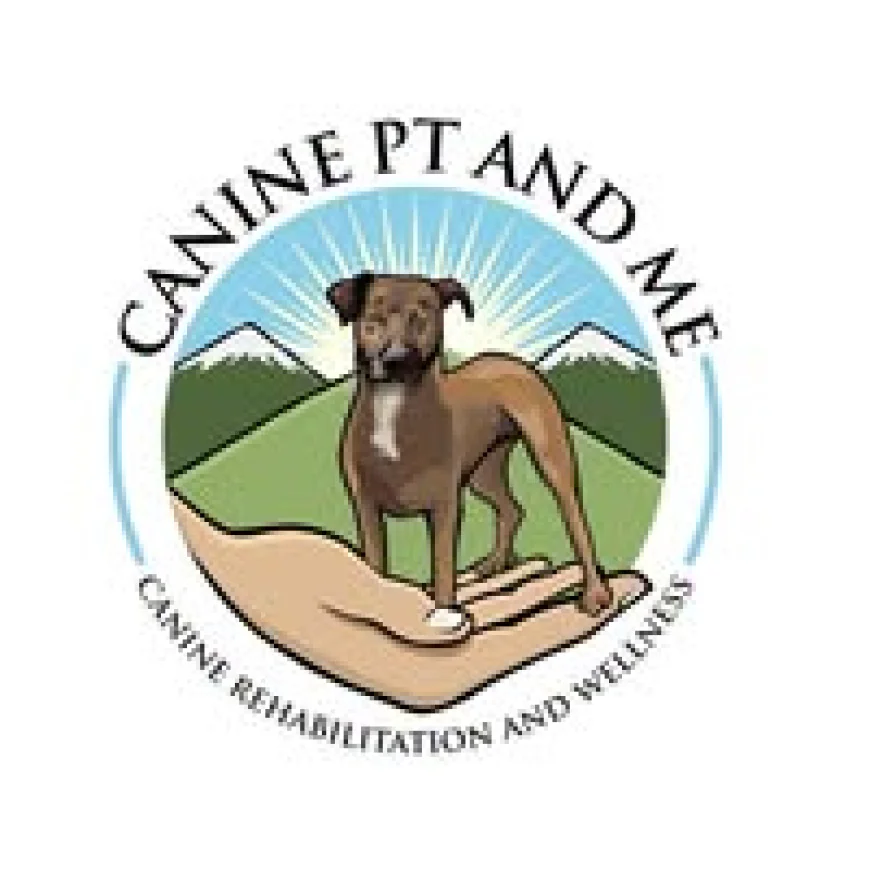 Dog Arthritis Treatment: Helping Your Dog Live Pain-Free with Canine PT and Me