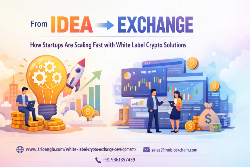 From Idea to Exchange: How Startups Are Scaling Fast with White Label Crypto Solutions