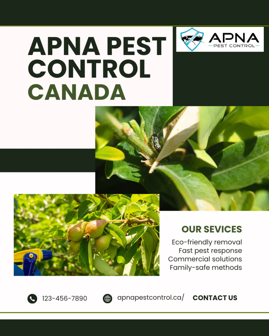 Pest Control for New Homeowners