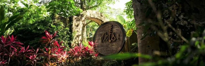 Tree House Bali Experience Nature Like Never Before with Roots Tree House