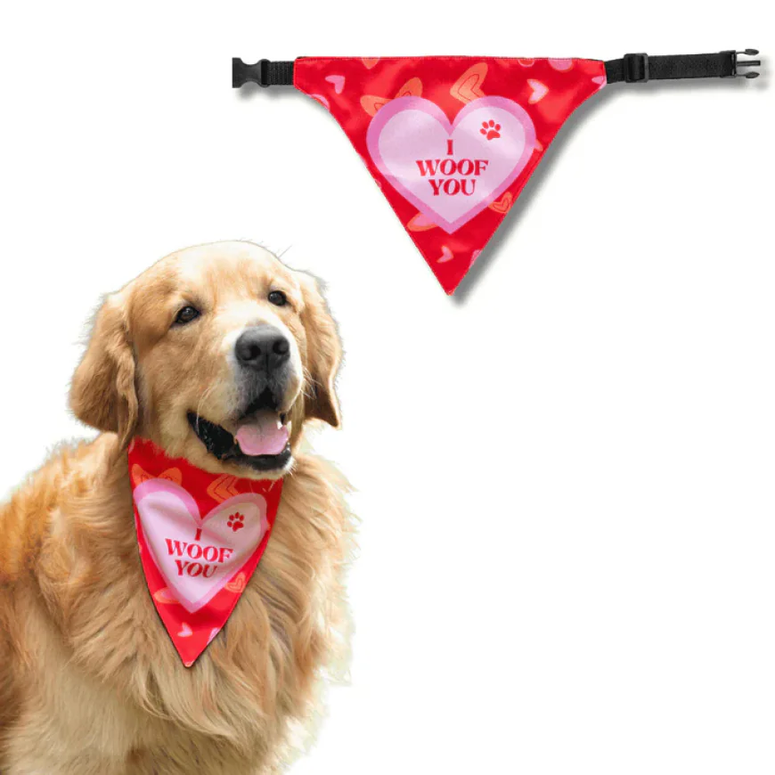 Dog Bandana vs Dog Collar: What’s the Difference?