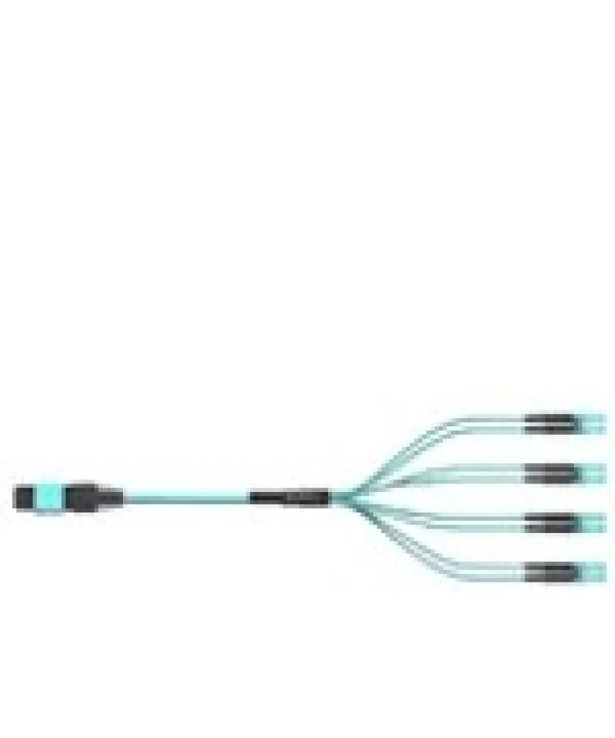 Unraveling the Potential of Multimode Fiber in Data-Driven Decision Making