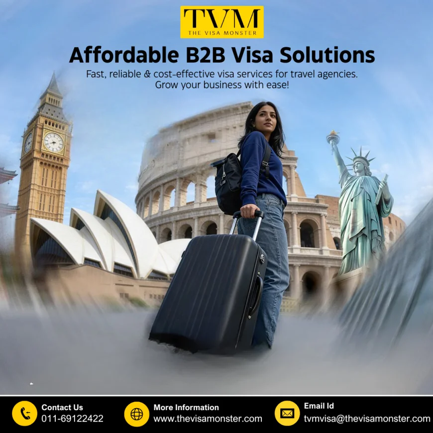 B2B Travel Visa Solution – Simplify Visa Processing with The Visa Monster