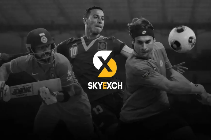 A Complete Guide to Skyinplayy.com: Features, Risks, and User Experience
