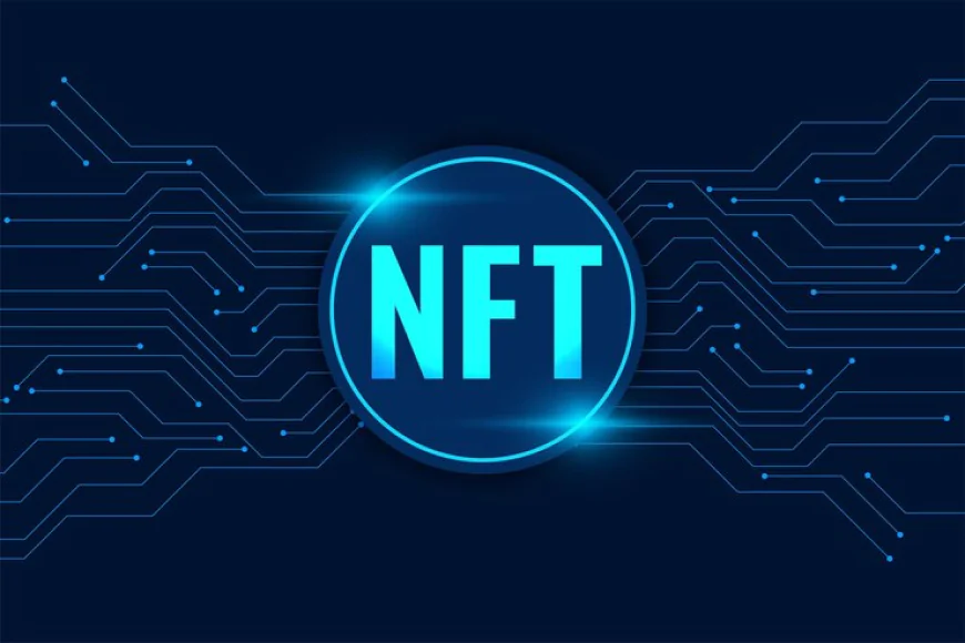 Why Building an NFT Marketplace from Scratch is Expensive (And How CryptoApe Makes It Affordable)