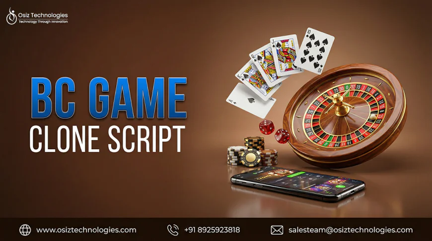 What Features Make BC Game Clone Script Stand Out in the USA