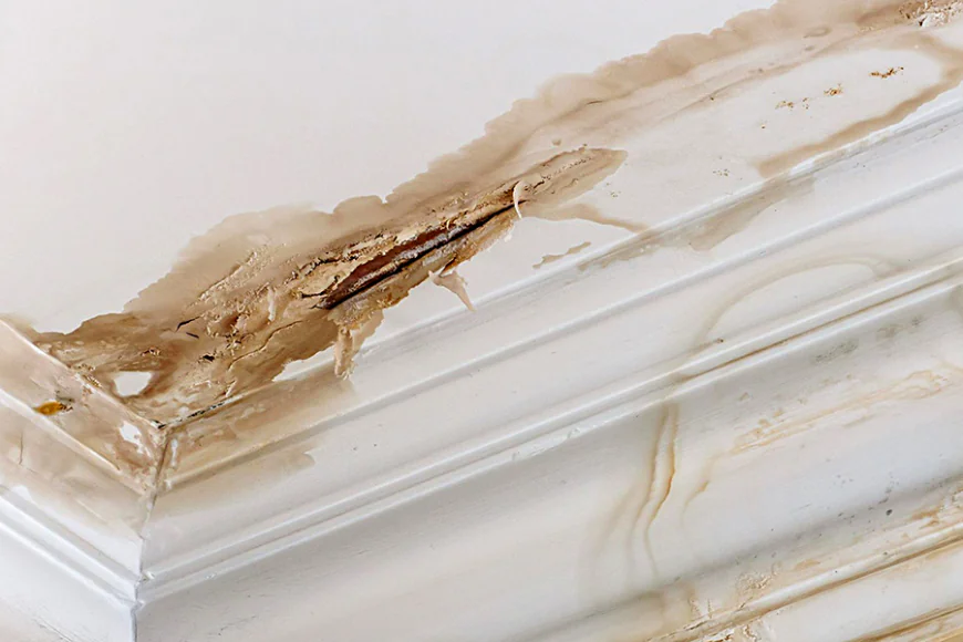 Leaks and Water Damage in Rental Properties: Health Risks and Tenant Claim Rights