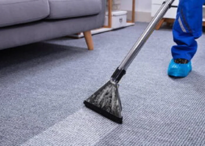 Clean Homes Begin With Expert Carpet Cleaning Services