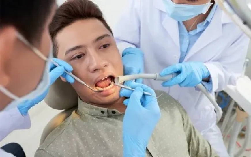 What Services Does a Dentist in Albany Offer for Patients?
