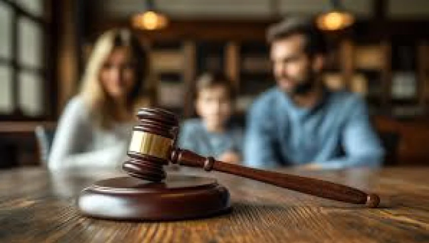 How to Challenge a Custody Order in Family Court
