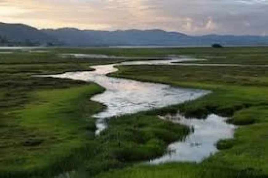 Understanding IRS Donation Easements: A Florida Property Owner’s Guide!