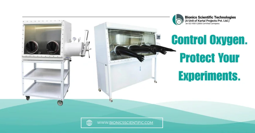 Laboratory Glove Box System for Oxygen Control | Inert Atmosphere Solution
