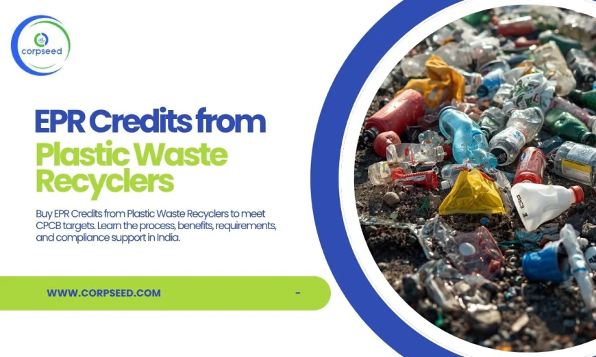 Plastic Credits: A Complete Guide to Compliance and Sustainability