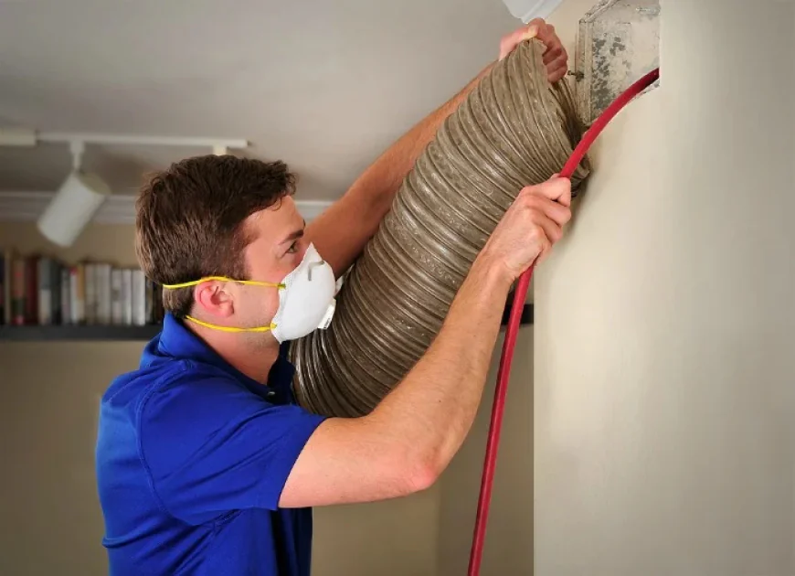 Top Benefits Of Professional HVAC Cleaning For Better Airflow