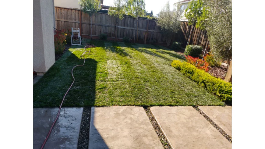 How Do Sprinkler Installation Services Make Landscaping Easier to Maintain?