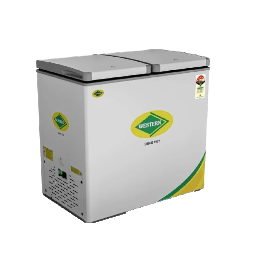 Compact Deep Freezer Manufacturers: Smart Cooling Solutions for Modern Businesses