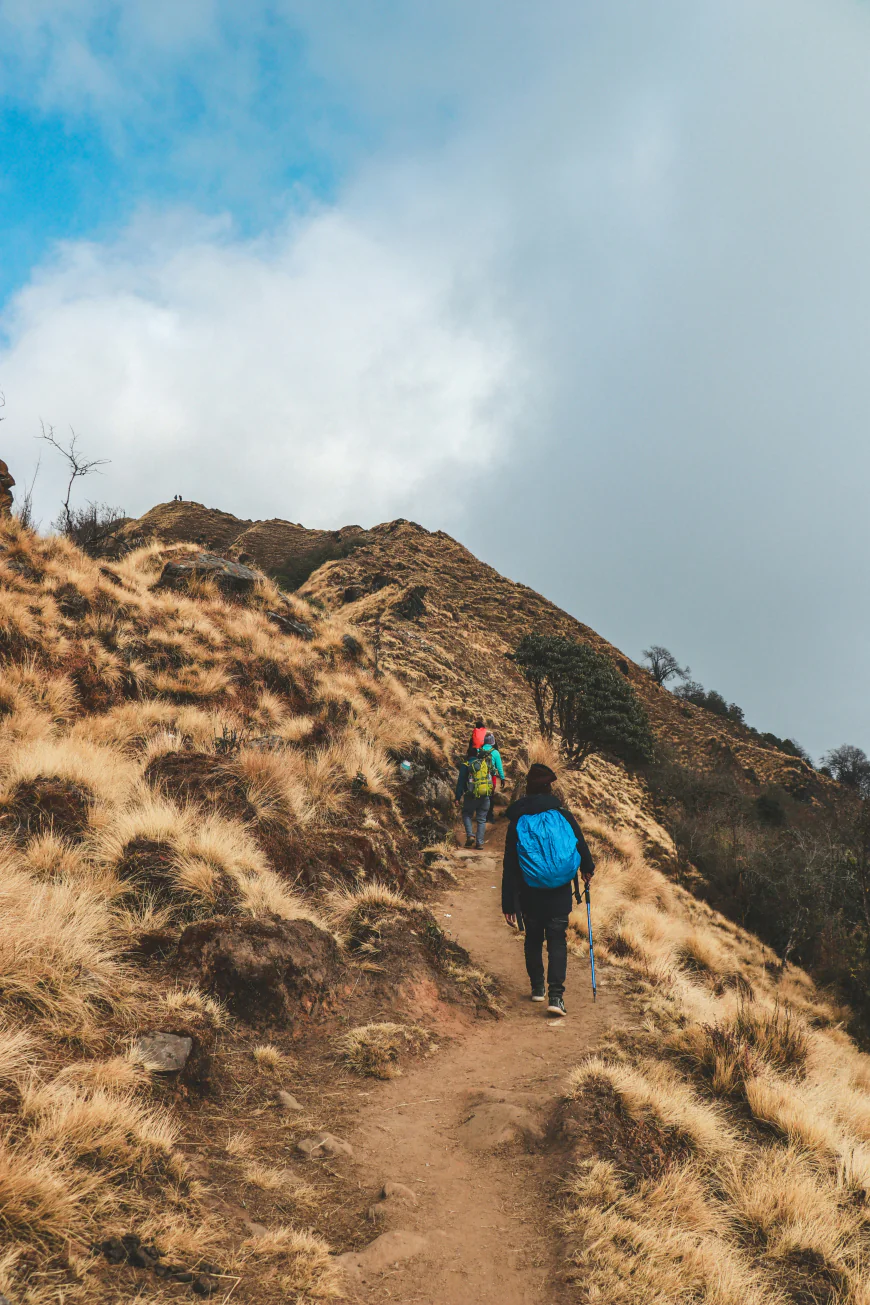Wild Scenic Journey: Mardi Himal Trek Through Magical Landscapes and Silent Trails