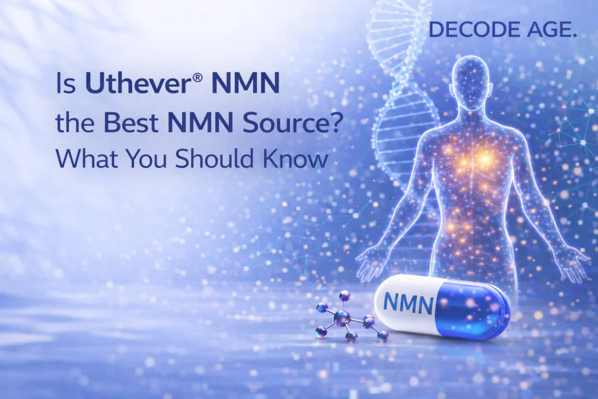 Is Uthever® NMN the Best NMN Source? What You Should Know