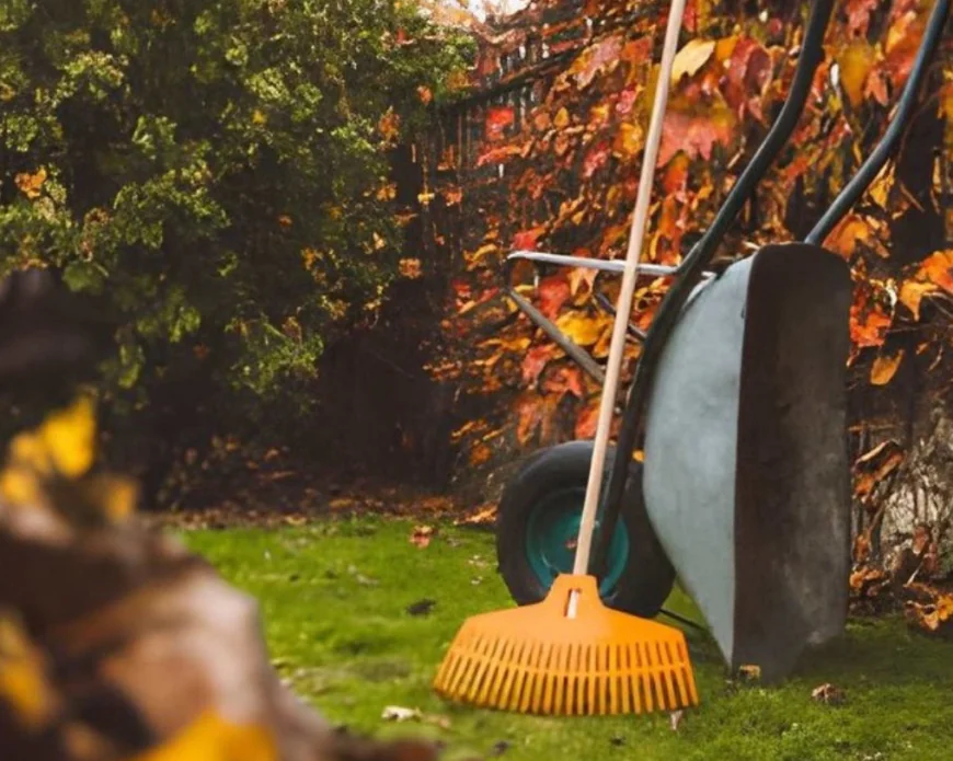 Garden Cleaning Services Palmerston North | Visto Cleaning