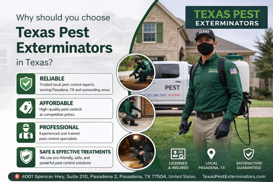 Professional and Affordable Pest Exterminators Serving Pasadena Texas Residential and Commercial Clients