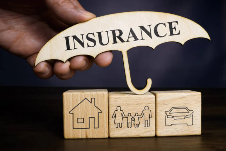 Where to Find Low-Cost Insurance in Justin TX