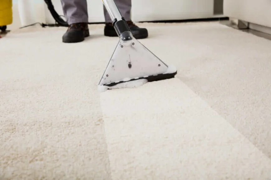 How Often Should Toronto Residents Clean Their Carpets? (A Complete Seasonal Guide)