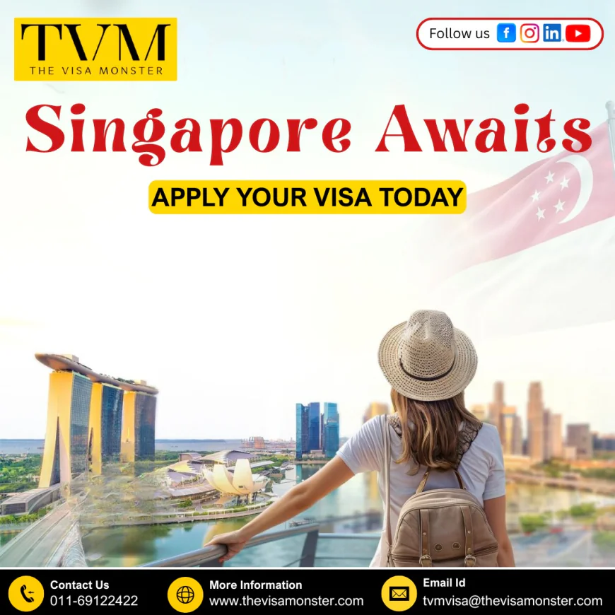 Cheapest B2B Visa Portal for Travel Agents – Grow Your Business with The Visa Monster