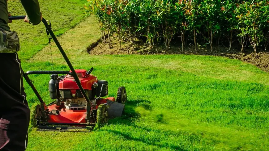 Redefining Curb Appeal with Professional Lawn Trimming Services