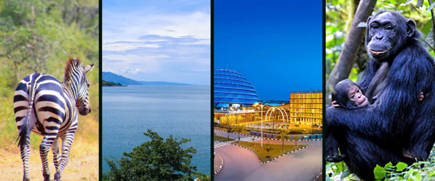 Essential Facts to Consider When Choosing Rwanda Vacation Tour Packages